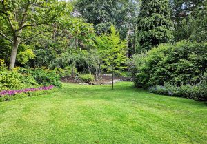 Optimiser l'expérience du jardin à Champey-sur-Moselle